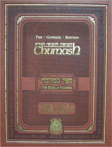 Chumash the book of Numbers inglés hebreo